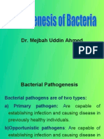 Bacterial Pathogenesis