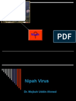 Nipahvirus
