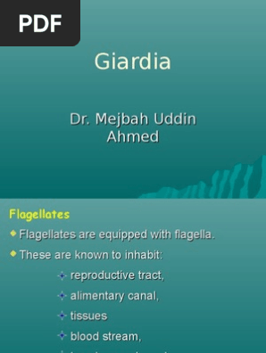 ecran giardia cryptosporidium eia