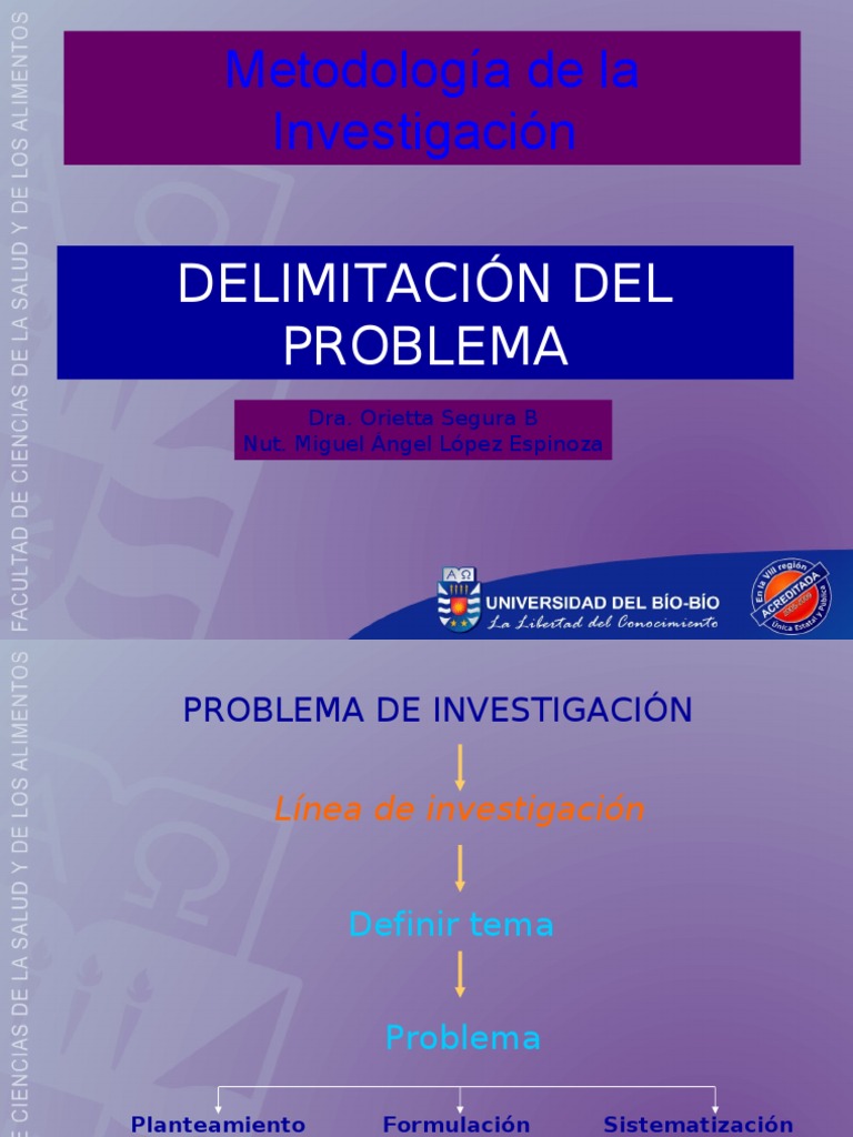 DELIMITACION PROBLEMA