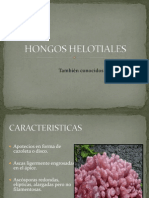 HONGOS HELOTIALES