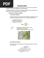 Precipitación Media