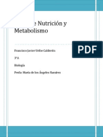 Tipos de Nutrición y Metabolismo