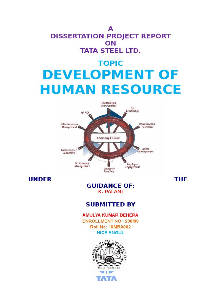 Development of Human Resource at Tata Steel | PDF | Employment ...