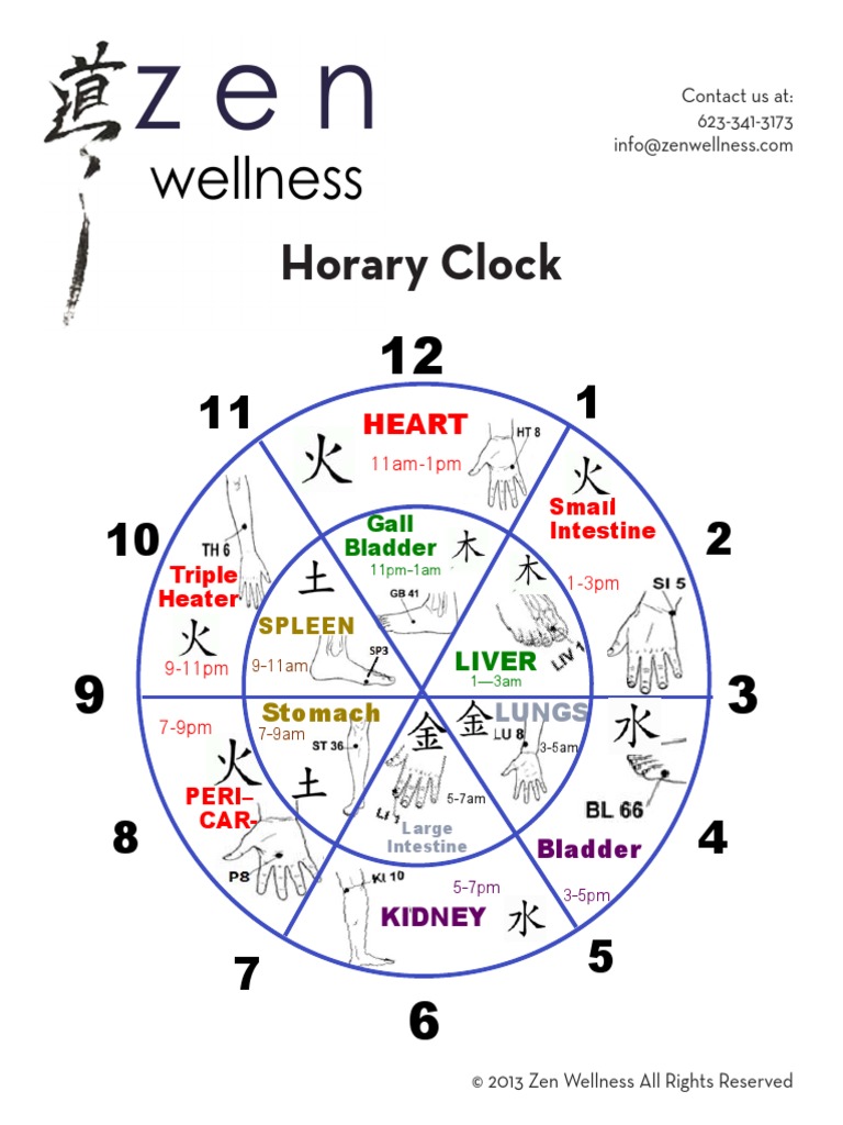 Zen Wellness Horary Clock Booklet PDF Meridian (Chinese Medicine