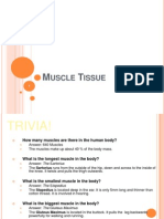 Pinaka Final n Muscle Tissue