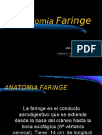 Anatomía Faringe COMPLETO