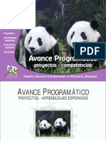 Avance Programatico Segundo