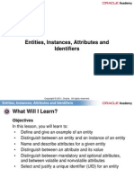 Entities, Instances, Attributes and Identifiers