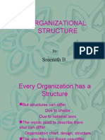 Organizational Structures
