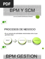 Bpm y scm