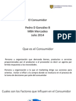 Perfil Del Consumidor Pedro Gonzalez PDF