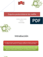 Esquina Posterolateral de Rodilla