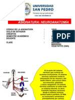 Clase 9 Sistema Nervioso Vegetativo (Sna)