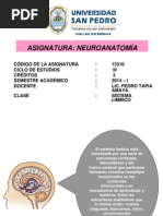 Clase 10 Sistema Límbico