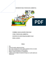 Informe de Exposicion para Toxicologia Ambiental