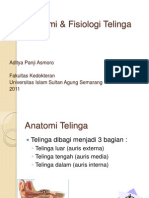 Anatomi & Fisiologi Telinga Adit