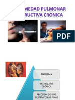 Enfermedad Pulmonar Obstructiva Cronica