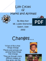 Life Cycles of Plants and Animals: by Miss Kerr Mt. Loafer Elementary Salem, Utah 2002