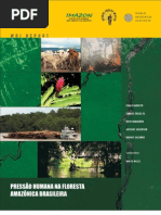 pressao_humana na floresta amazonica brasileira
