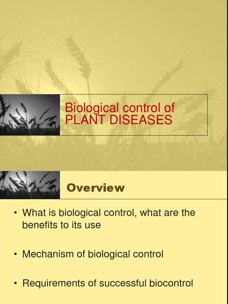 Biological Control of Plant Diseases | PDF | Biological Pest Control ...