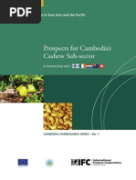 Prospects For Cambodia Cashew Sub-Sector