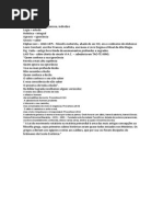 Antropologia Holistica