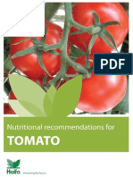 Tomato Fertigation Guide - Haifa