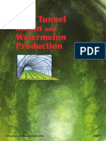 Tunnel cultivation