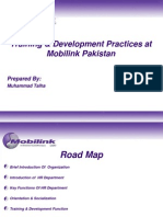 Training & Development Practices at Mobilink Pakistan: Prepared by