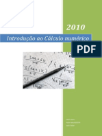 clculonumrico-100813230319-phpapp01