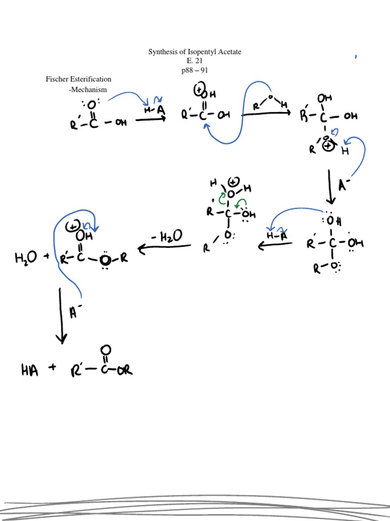 Synthesis of isopentyl acetate essay example 07 image