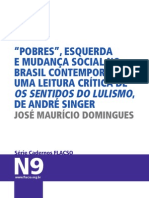 FLACSO Domingues Singer PDF