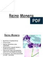 Reino Monera