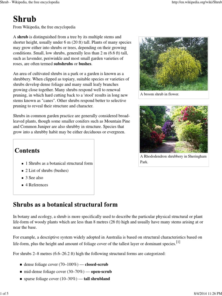 Understanding Shrubs and Their Types | PDF | Shrub | Plants