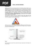 Download 01 the bunsen burner by api-27085921 SN23587963 doc pdf