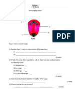 Form 2 Test