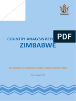 Zimbabwe Country Analysis 2010 Report 05-09-11