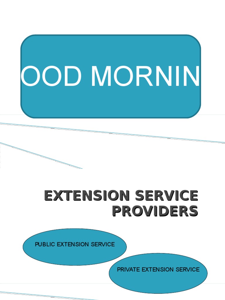 Privatisation of Extension Service Providers PDF Privatization