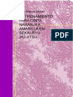 Entrenamiento para Cinta Naranja A Amarilla en Sekairyu Jiujitsu