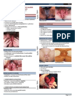 Spath 1stsem Gross and Microscopic Slides Female Genital Tract