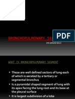 Bronco Pulmonary Segment