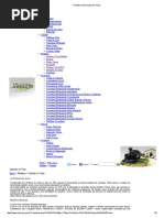 Prefeitura Municipal de Viana_Símbolos de Viana