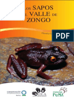 Los Sapos de Zongo Web