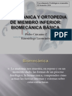 01 - Biomecanica General