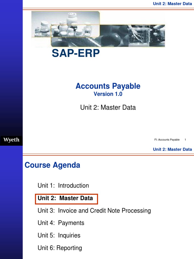 SAP Vendor Master Data Overview | PDF