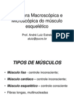 2 Neuromuscular - Arquitetura Muscular