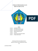 LP Teori Askep Bronchiolitis