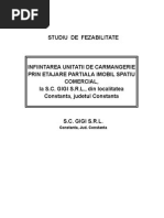 Studiu Fezabilitate - Carmangerie