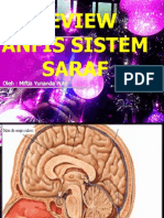 Anfis Sistem Saraf